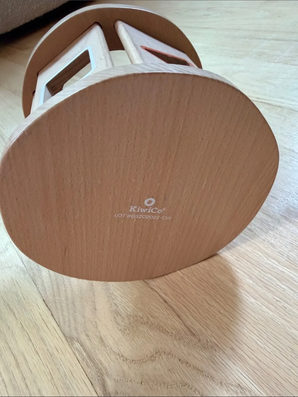 KiwiCo Biology Blocks Shape Sorter